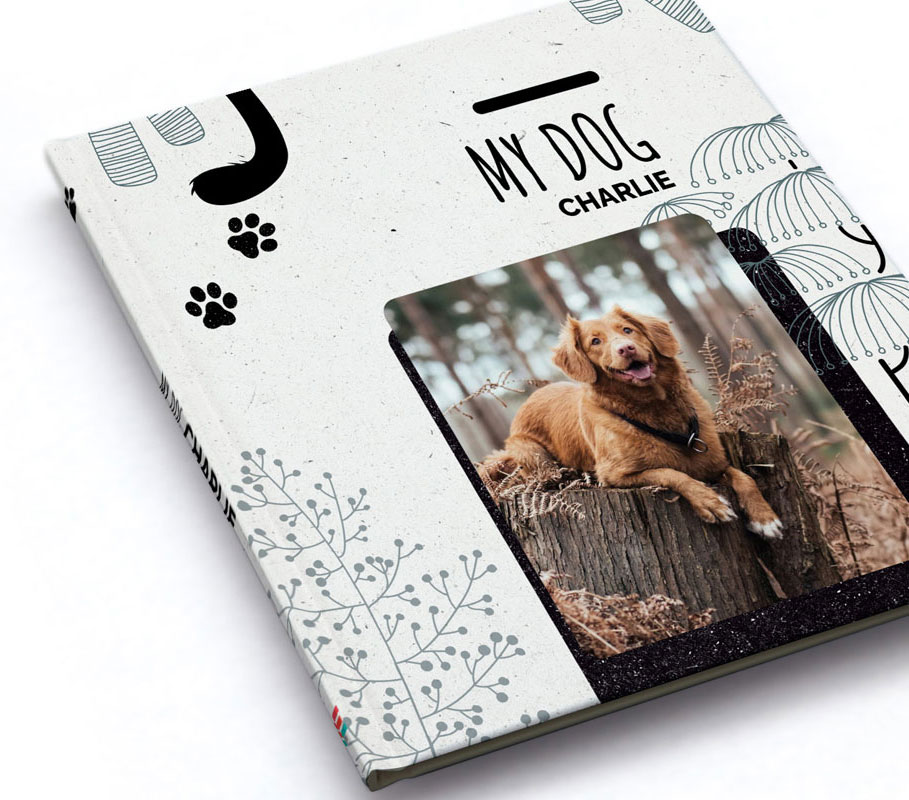 Our products - ModestyBooks